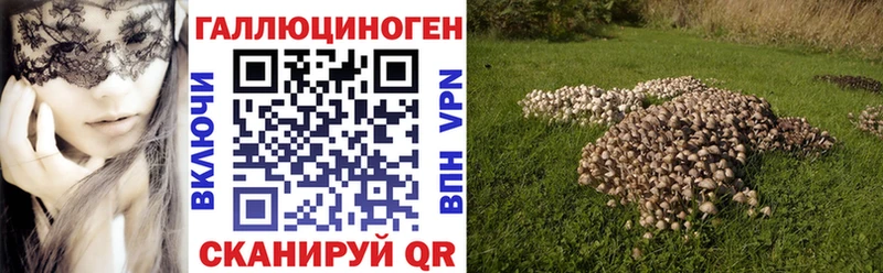 Галлюциногенные грибы Cubensis OMG ONION Городище